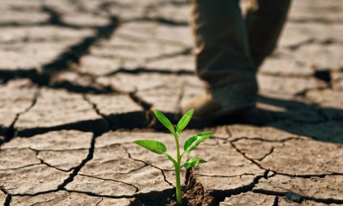 Resiliência: Como se Recuperar de Adversidades e Sair Mais Forte